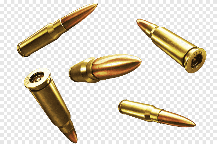Gun and Ammo 2022