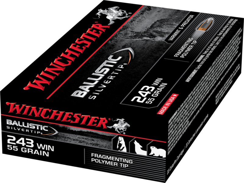 Winchester Ballistic Silvertip Varmint Ammunition 243 Winchester 55 Grain Fragmenting Polymer Tip Box of 20