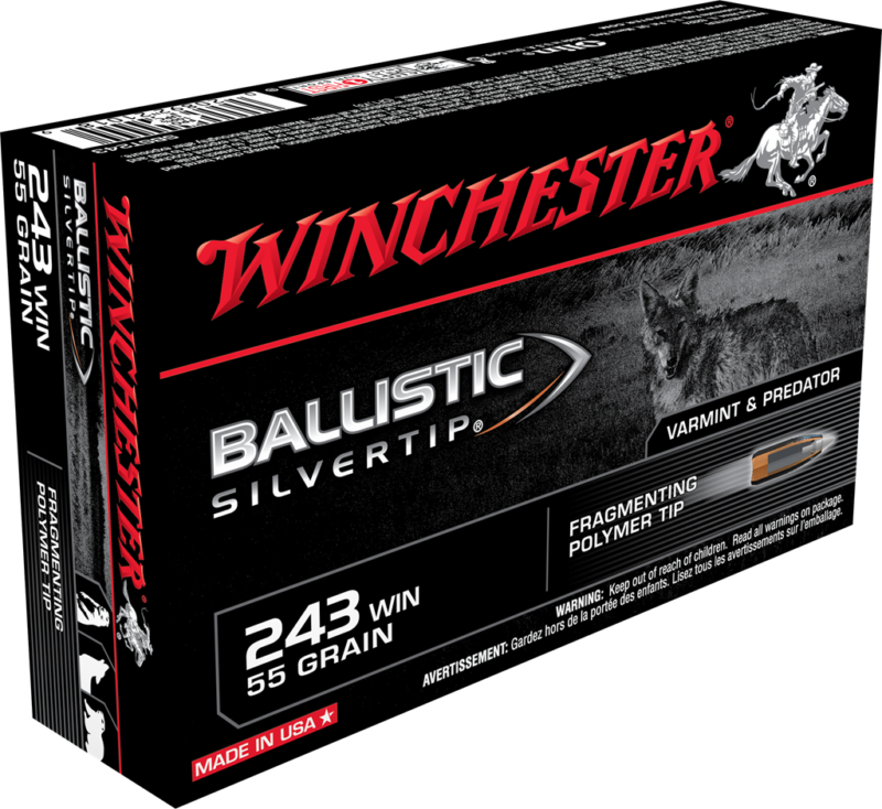 Winchester Ballistic Silvertip Varmint Ammunition 243 Winchester 55 Grain Fragmenting Polymer Tip Box of 20